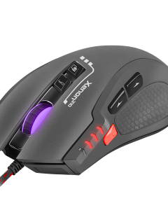 Genesis XENON 210 photo